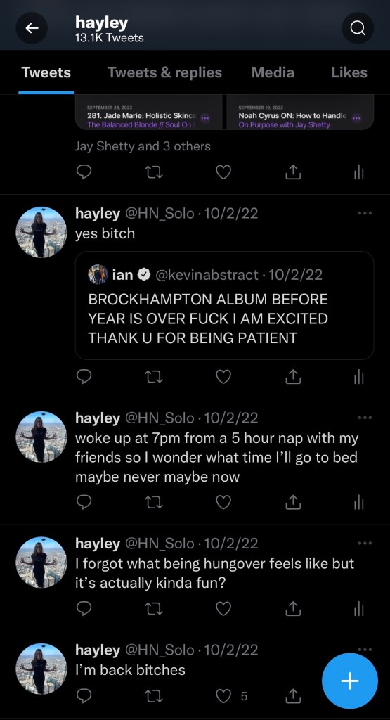 twitter is for the chaotic